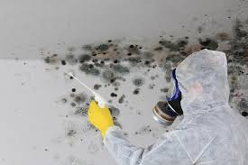 Best Forensic Mold Investigation  in Sandy Hook, CT